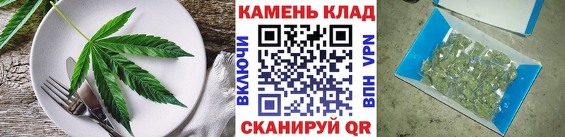 продажа наркотиков  Волосово  Еда ТГК марихуана 