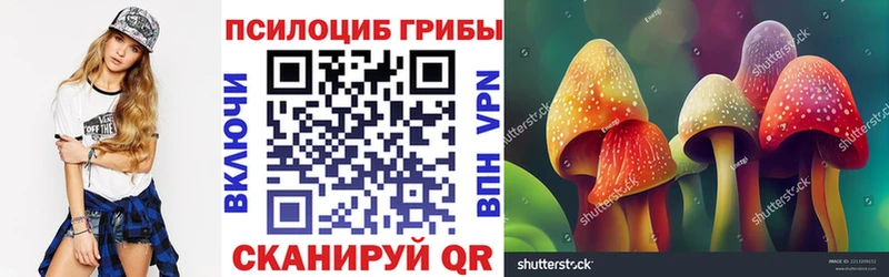Псилоцибиновые грибы мухоморы  blacksprut ссылка  Волосово 