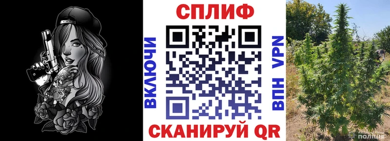 Шишки марихуана гибрид  Волосово 